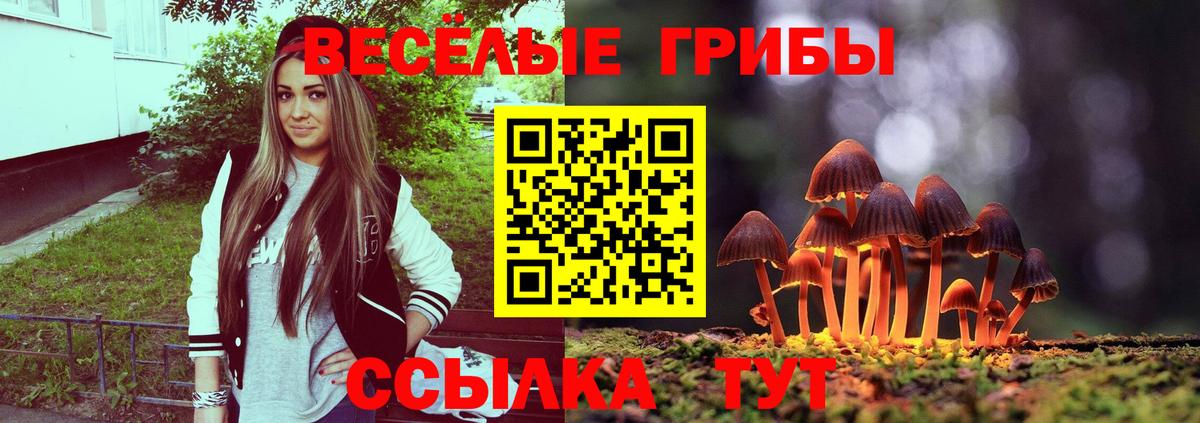 Галлюциногенные грибы мицелий Белгород