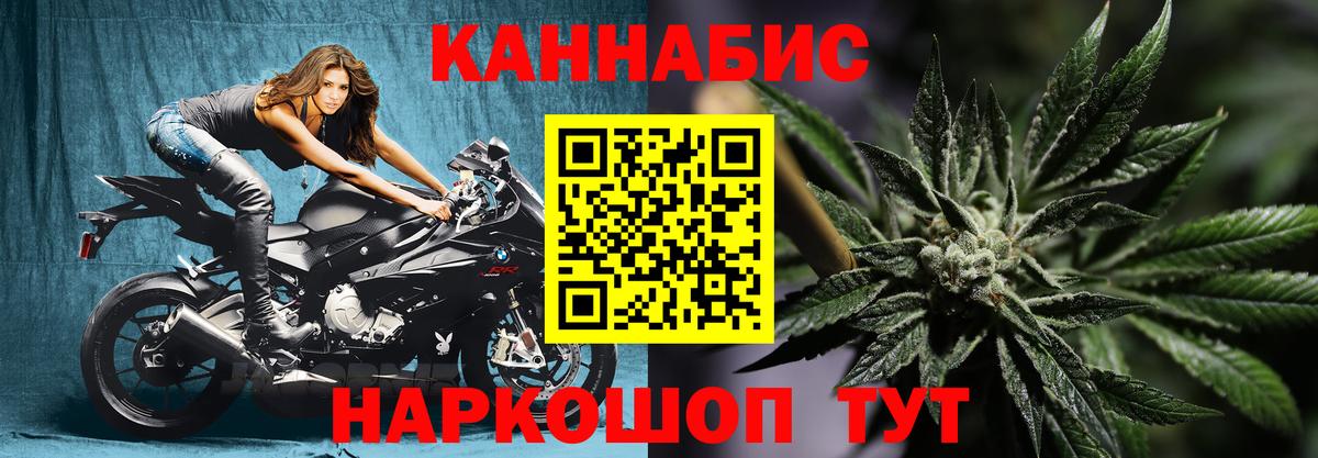 Каннабис Amnesia  Каннабис OG Kush  Вход с VPN  МАРИХУАНА семена  Белгород 